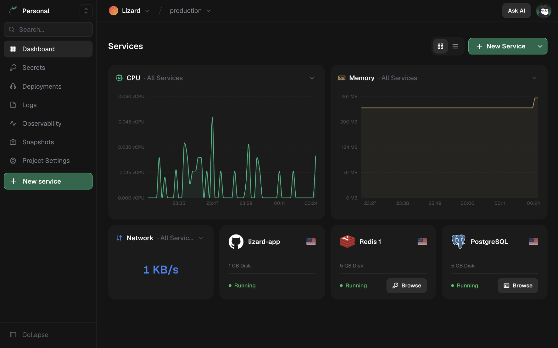 Lizard dashboard preview